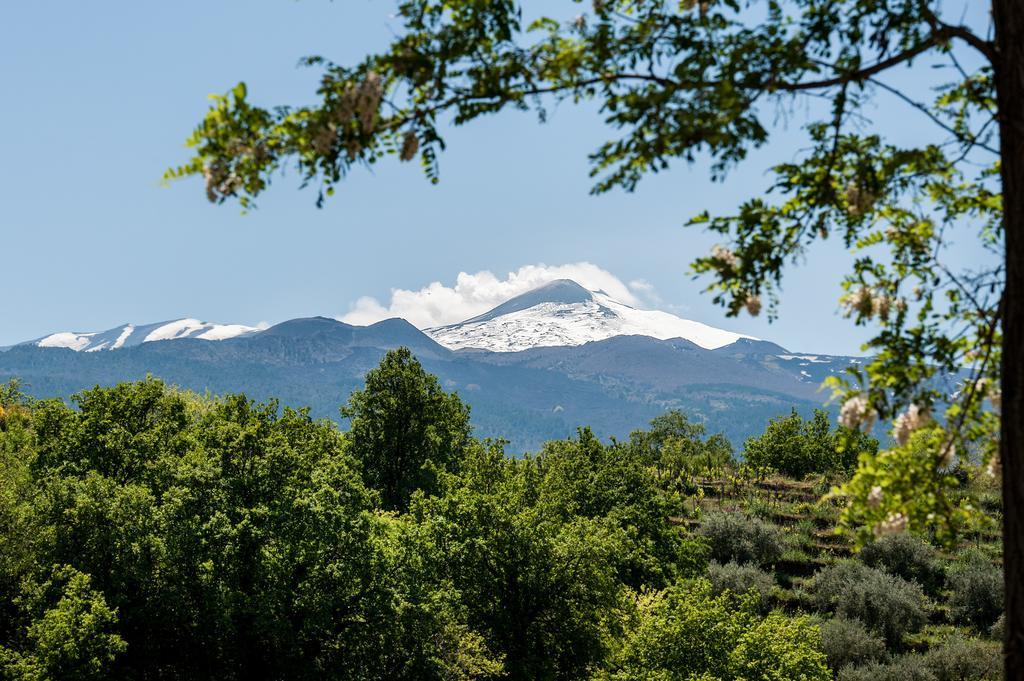 Firriato Hospitality Cavanera Etnea Resort&wine Experience